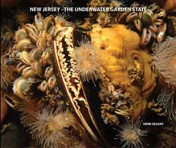 Beneath the Garden State: Exploring Aquatic New Jersey