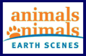 Animals Animals - Earth Scenes