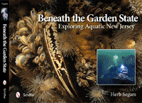 Book Preview