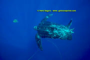 TUR-05-HS001-015
