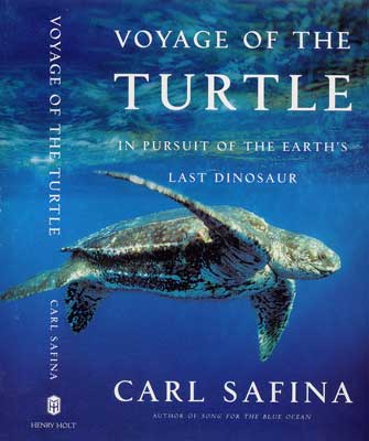Journey of the Turtle