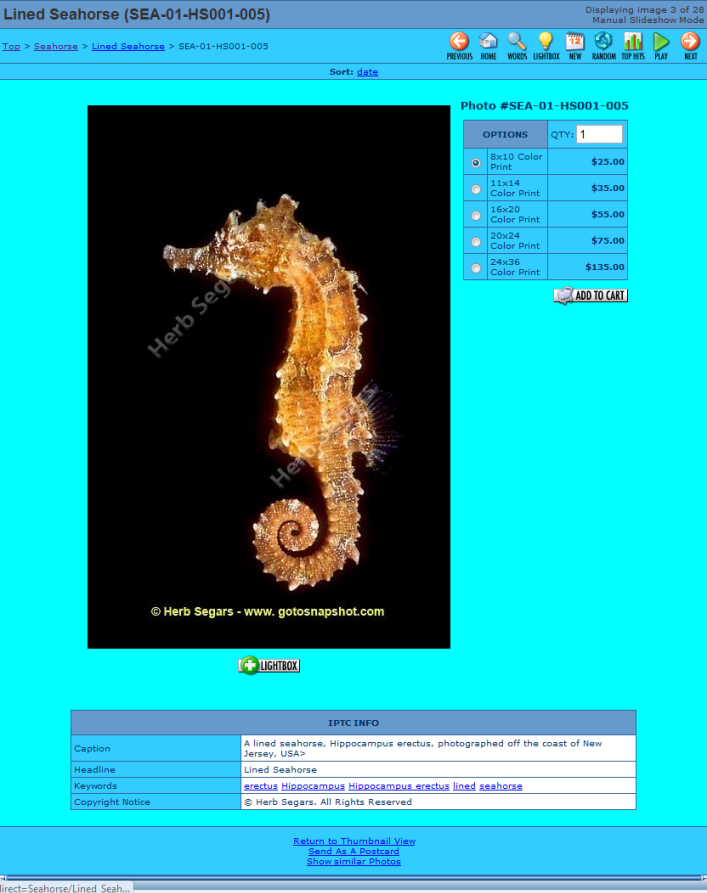 Image Page