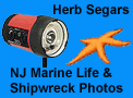 Herb Segars Photography gotosnapshot.com