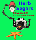 Herb Segars Photography gotosnapshot.com