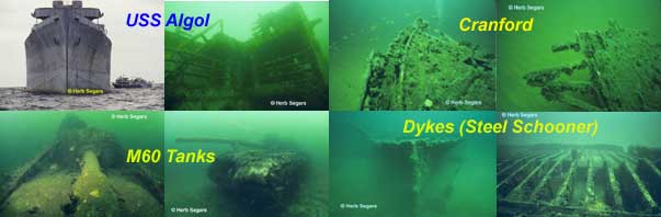 artificial reef screen saver preview