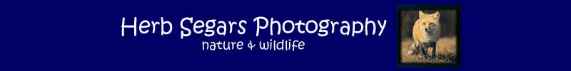 Herb Segars Photography