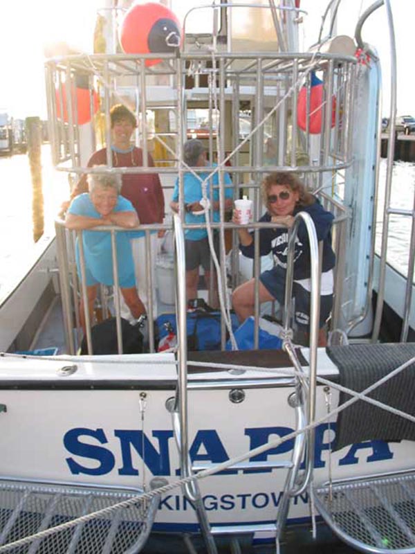 blue shark diving in Rhode Island