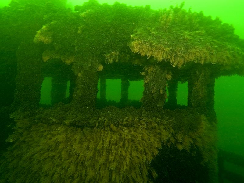 Veronica M artificial reef